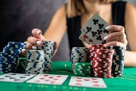 5533bet